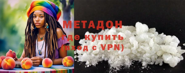 прущие грибы Заводоуковск