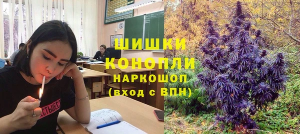 прущие грибы Заводоуковск