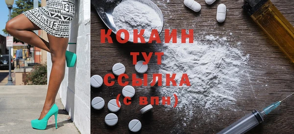 прущие грибы Заводоуковск