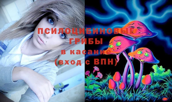 молекула духа Заволжск