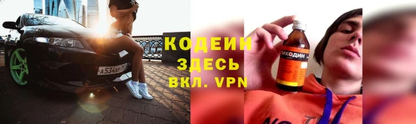прущие грибы Заводоуковск