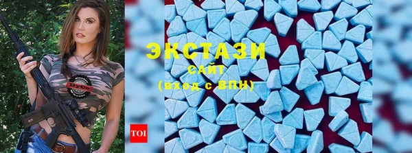 прущие грибы Заводоуковск