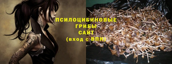 PSILOCYBIN Заволжье