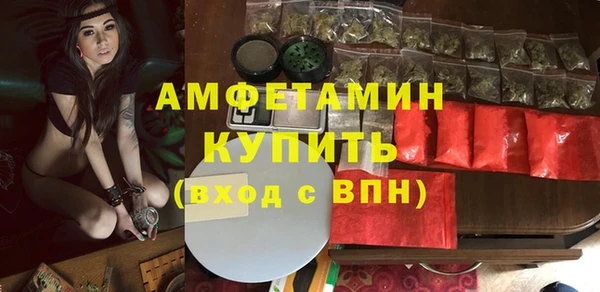 прущие грибы Заводоуковск